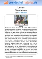 Gepard - Sachtext.pdf